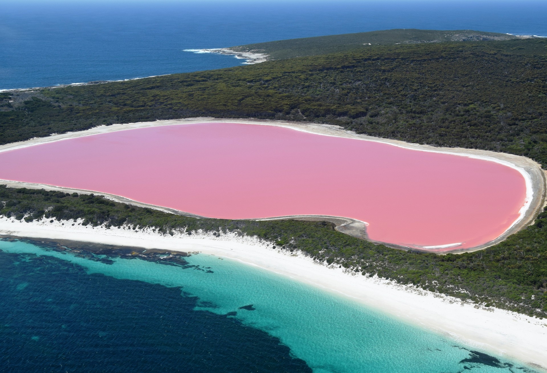 Czy masz odwagę zanurzyć się w australijskim Pink Lake?