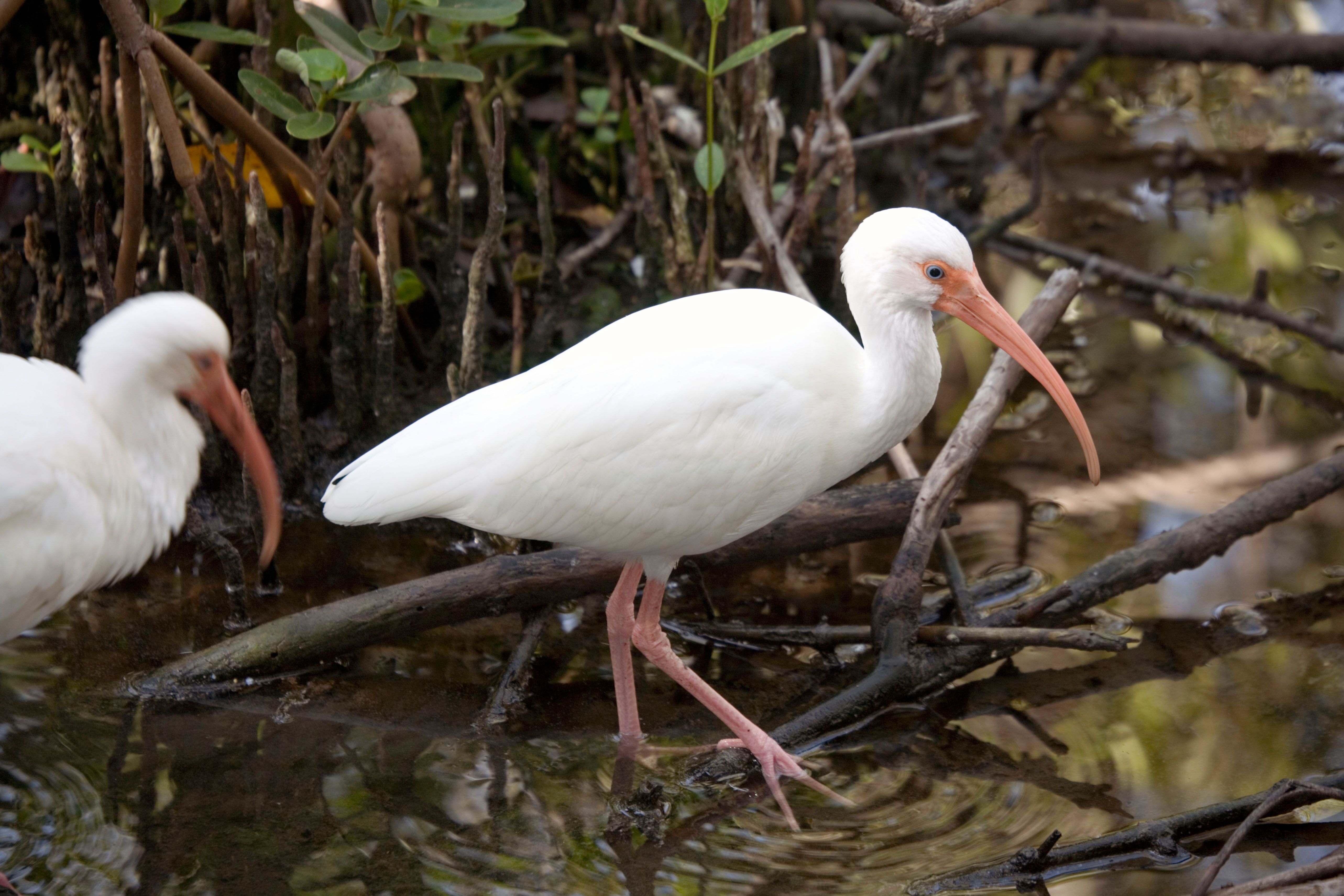 Hotele w Tavernier już od 418 zł znajdź tanie hotele z momondo