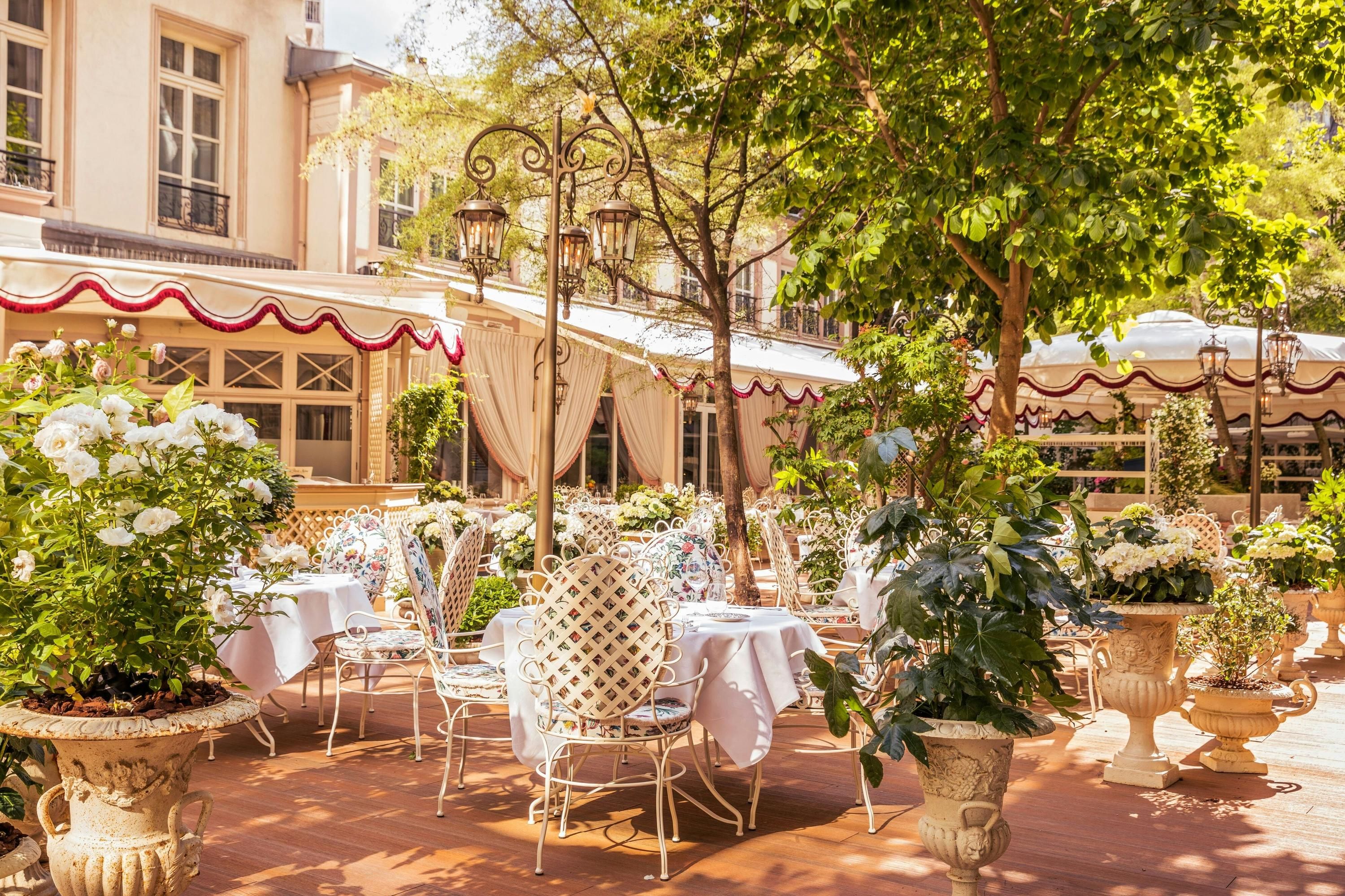 Patio Zdjęcie