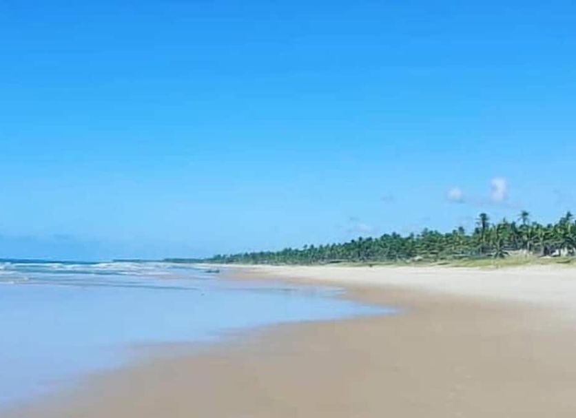 Plaża Zdjęcie