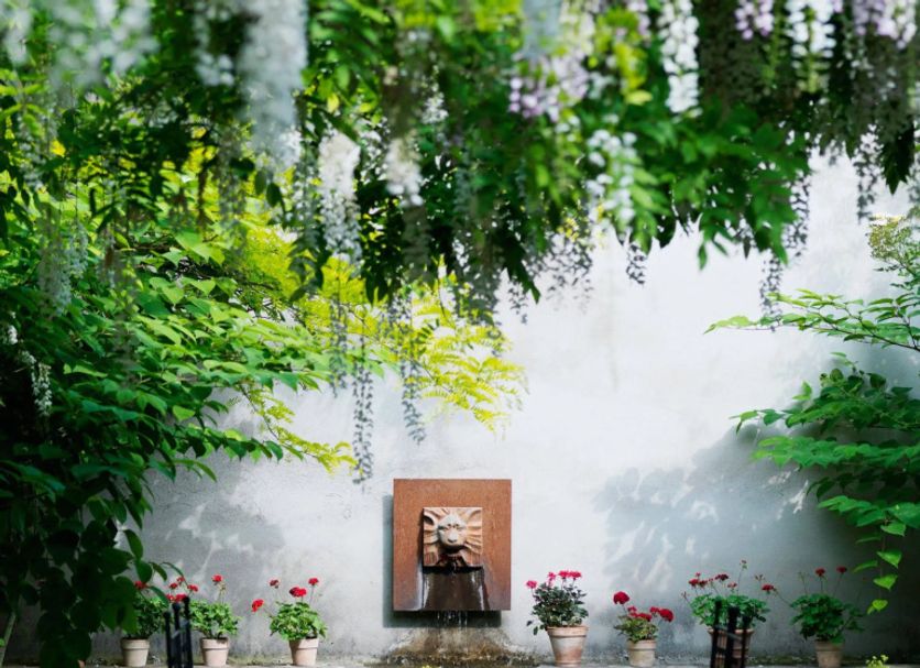 Patio Zdjęcie