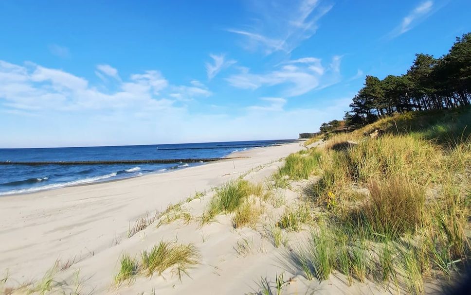 Plaża Zdjęcie