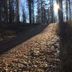 Widok na zewnątrz