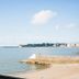 Plaża