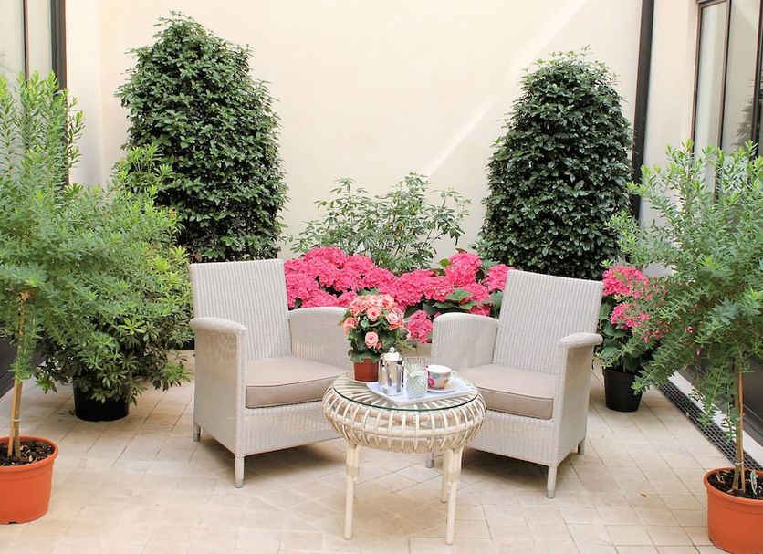 Patio Zdjęcie
