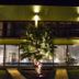 Inne